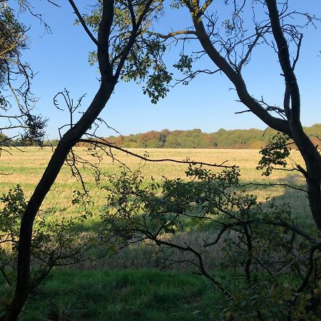 Old Hunters Lodge Whipsnade Limited Εξωτερικό φωτογραφία